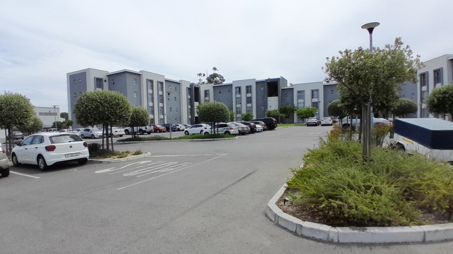 To Let 1 Bedroom Property for Rent in Bellville South Western Cape
